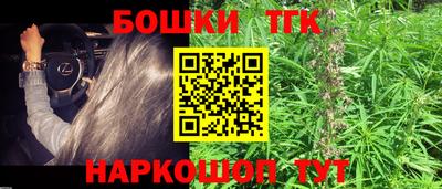 крисы Баксан