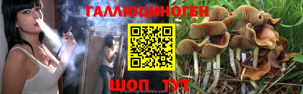 Псилоцибиновые грибы Psilocybe  Вход с VPN  Галлюциногенные грибы Psilocybine cubensis  Алексин 